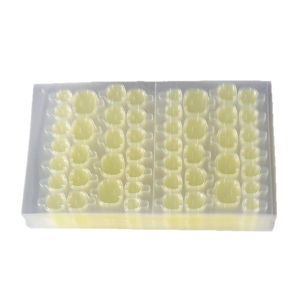 Large light yellow press-on nail tips set in a clear plastic storage box